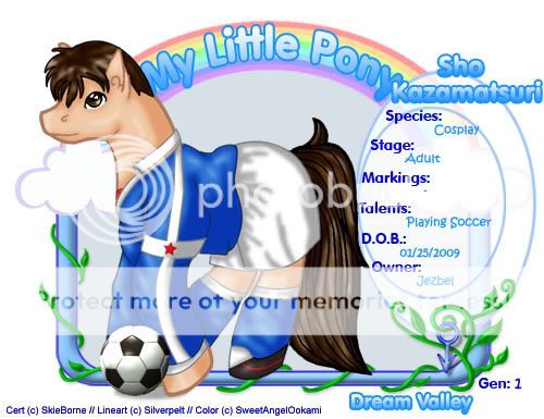 User Image